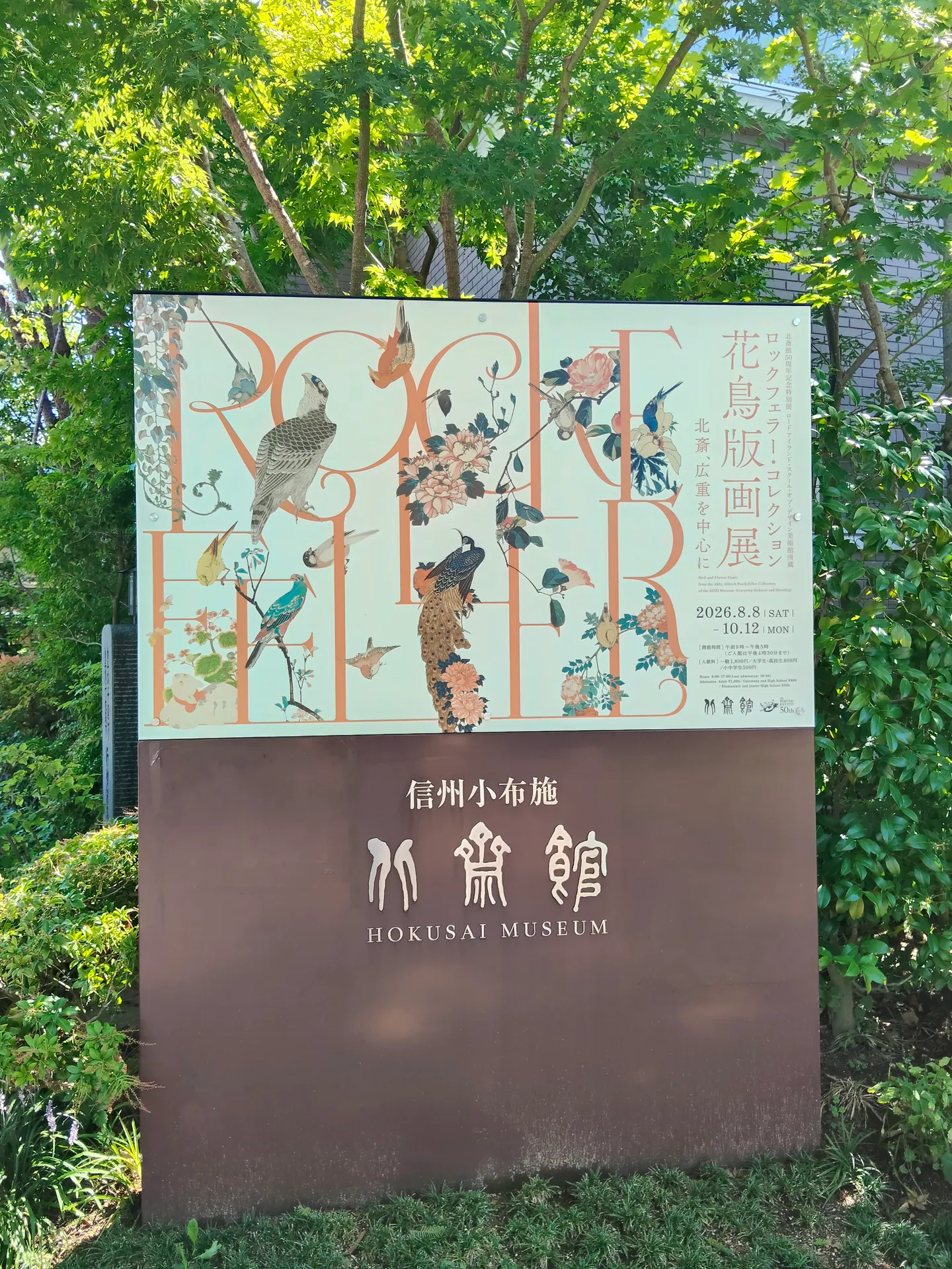 投稿画像 1