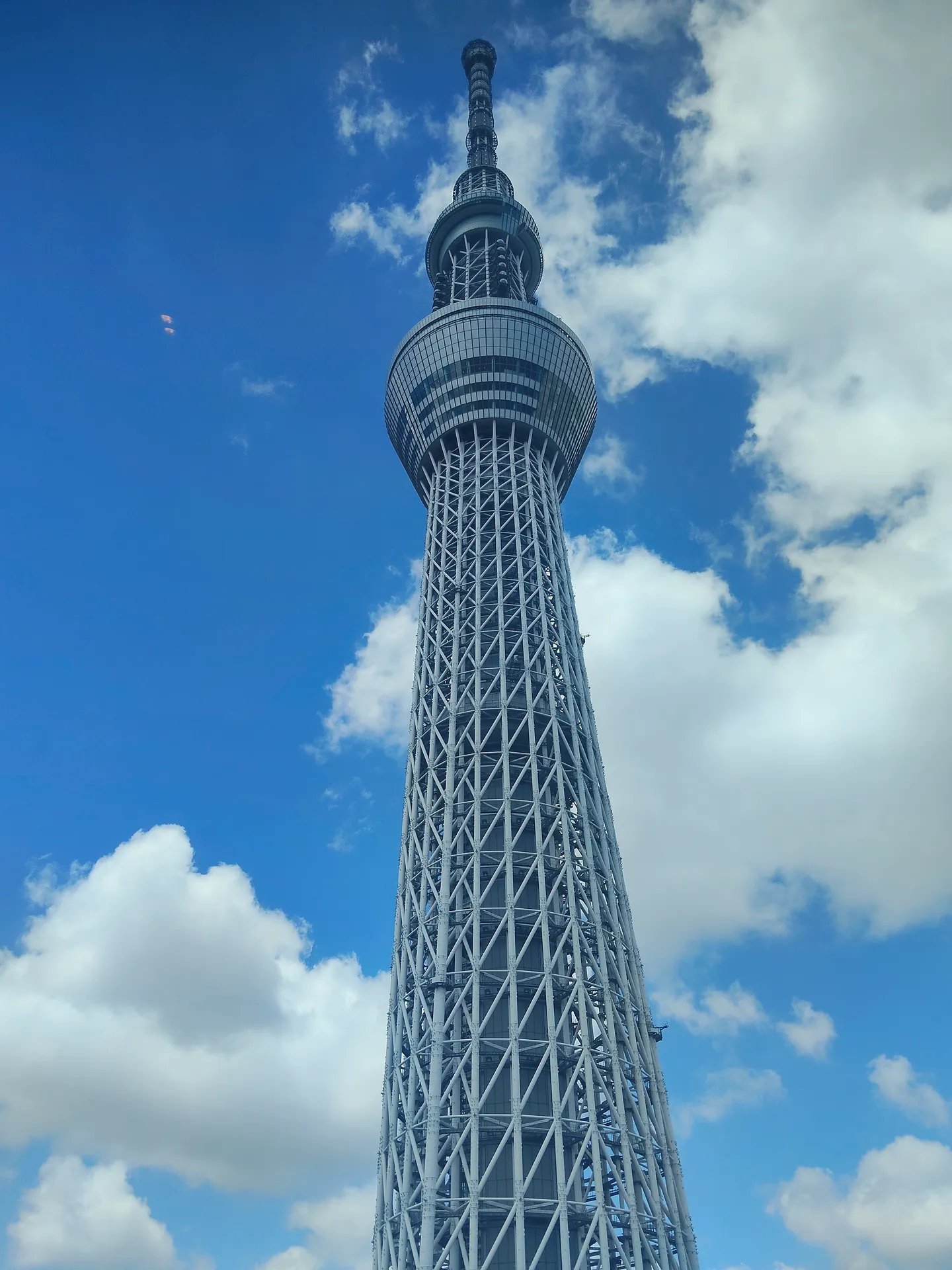 投稿画像 1